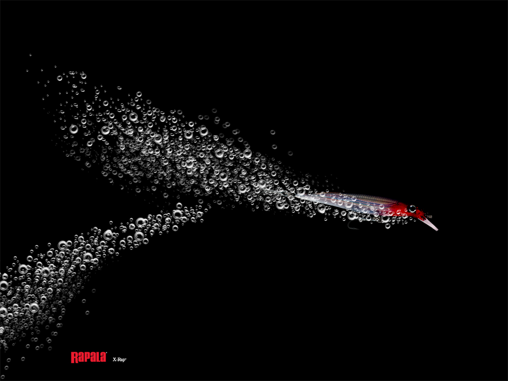 Spinning fish: Rapala