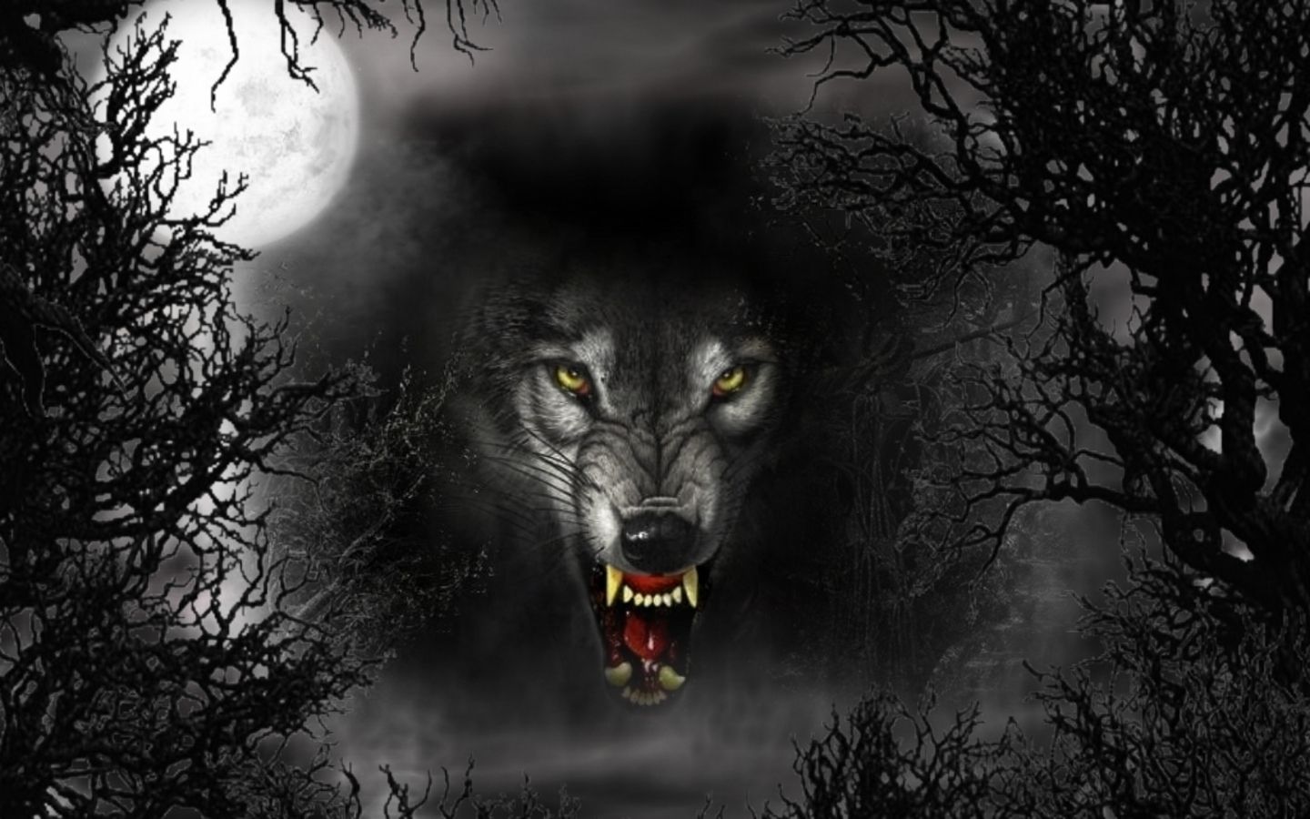 Black Wolf Wallpaper - Wallpaper HD Wide