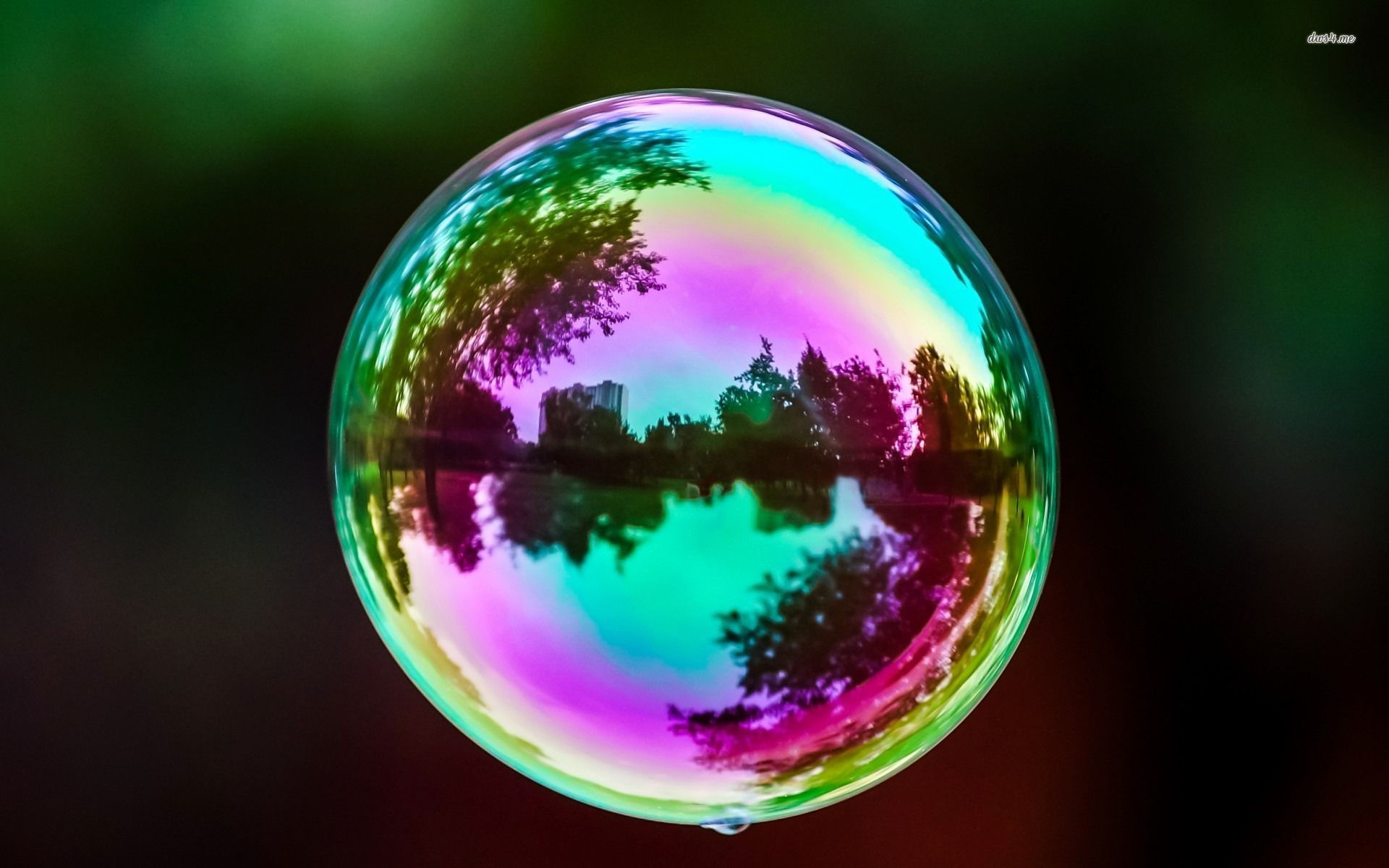 Soap bubble, photography, 1920x1200 HD Wallpaper and FREE Stock Photo