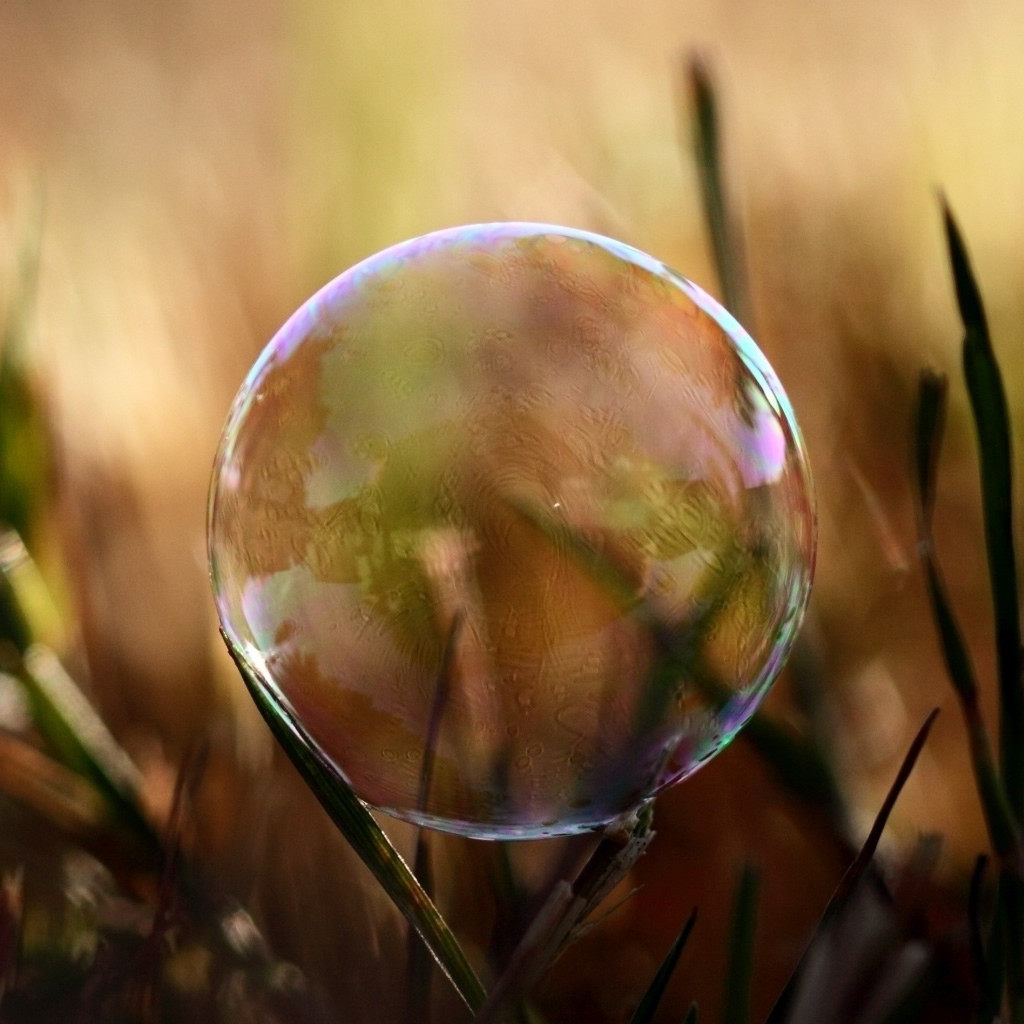 Soap Bubble On Grass iPad Wallpaper Download iPhone Wallpapers