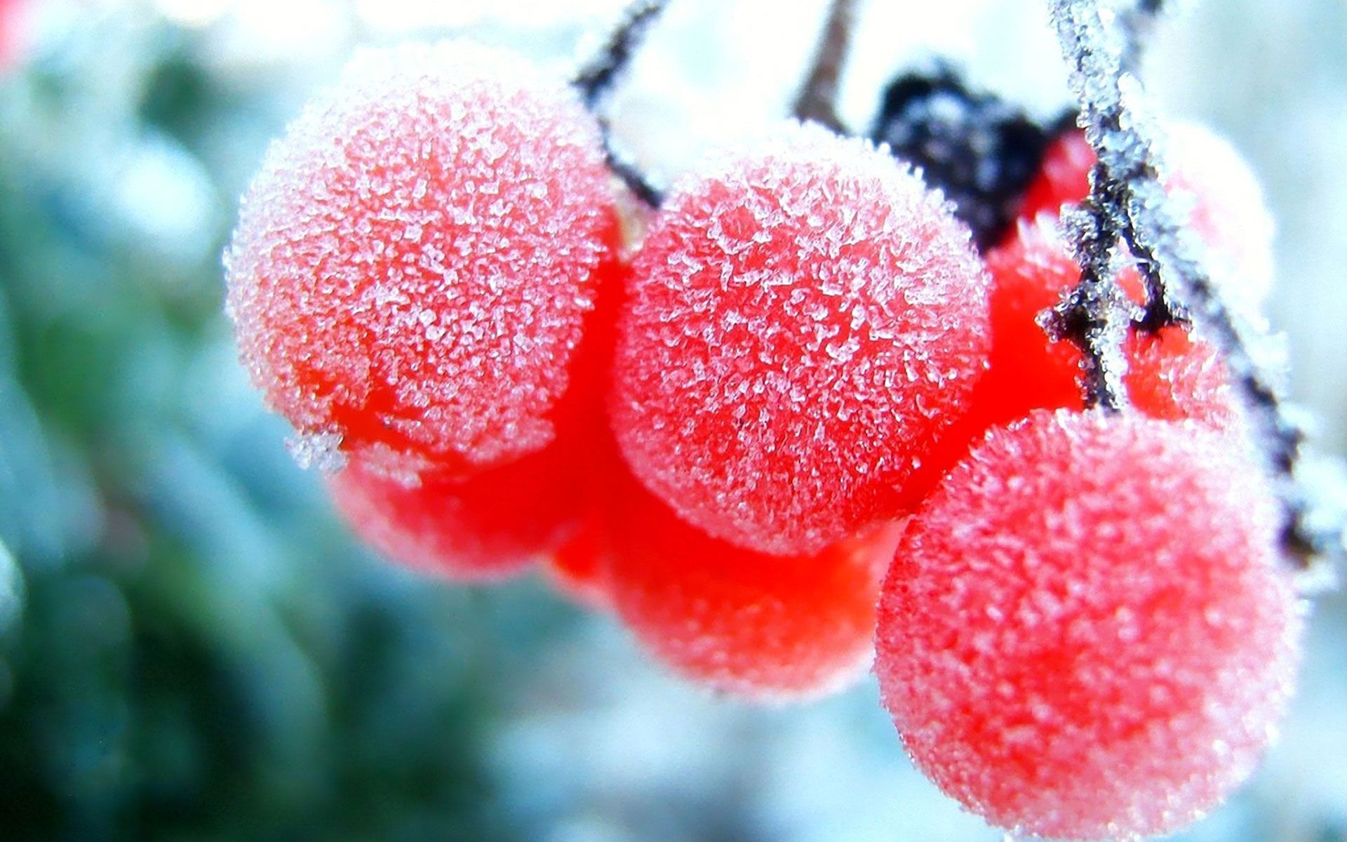 Winter Frozen Fruits Wallpapers