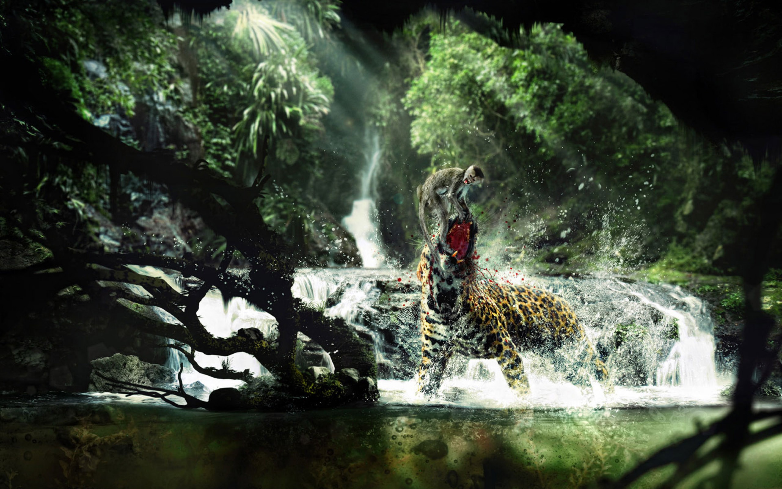 Leopard Wildlife Wallpapers HD Wallpapers Pix Trends