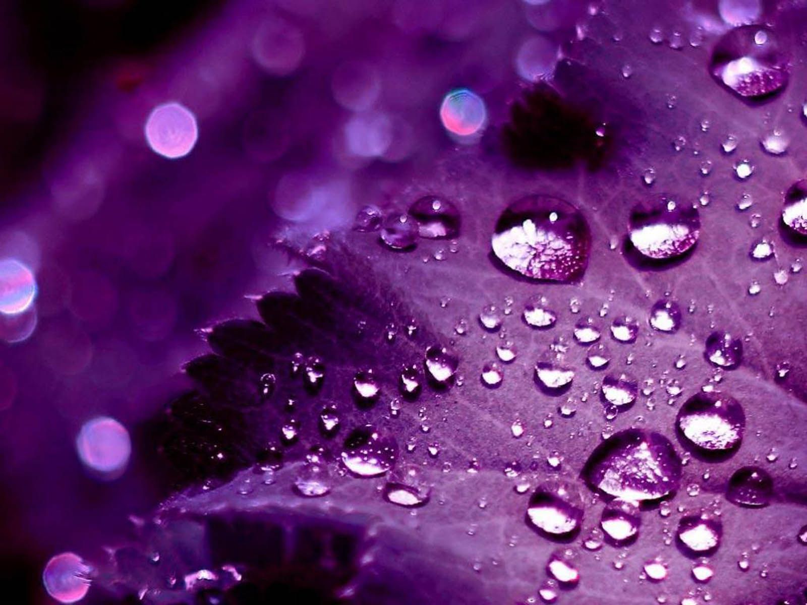 wallpapers for pretty purple backgrounds tumblr-1 | HD Wallpapers ...