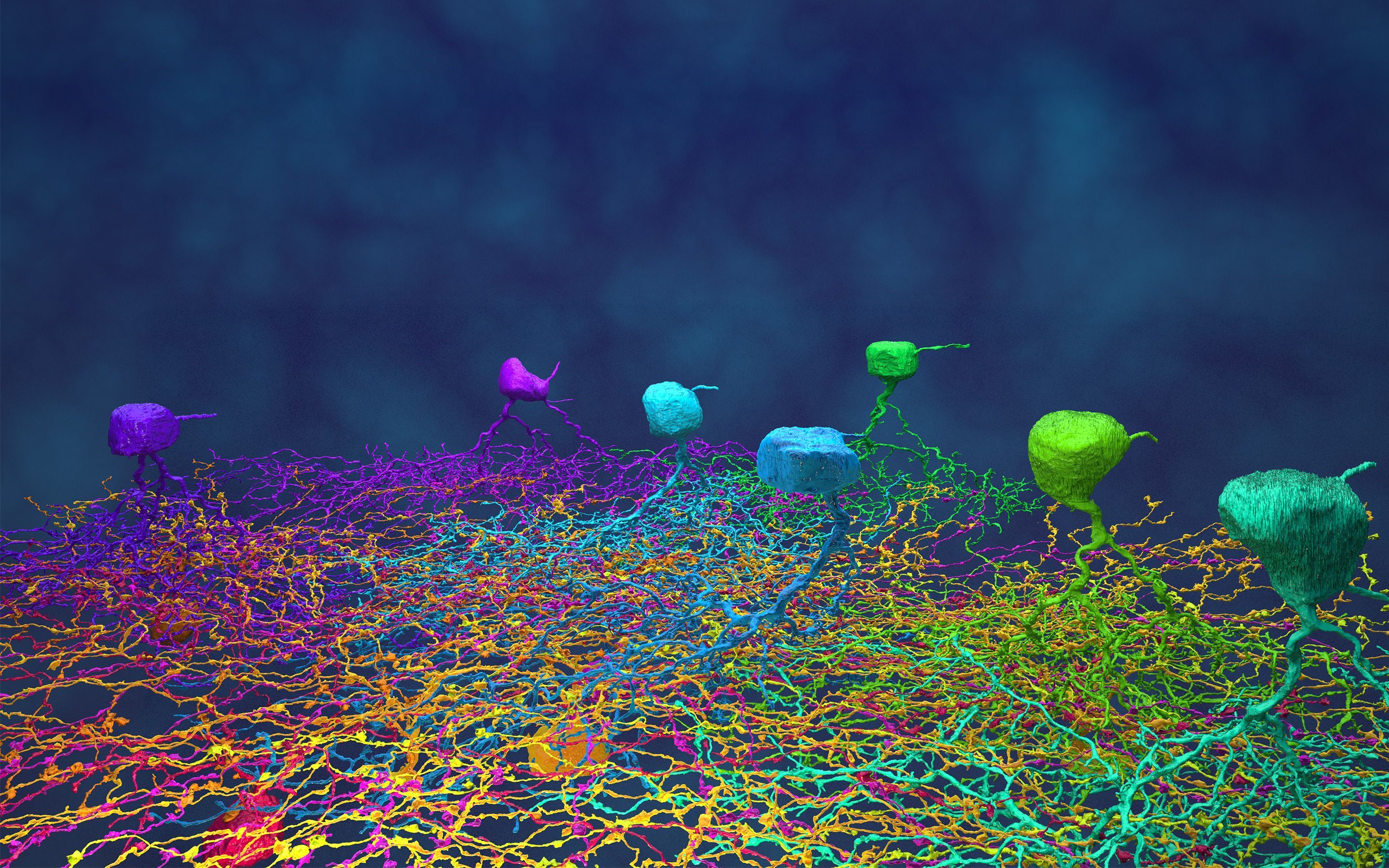neuron desktop background | Blog
