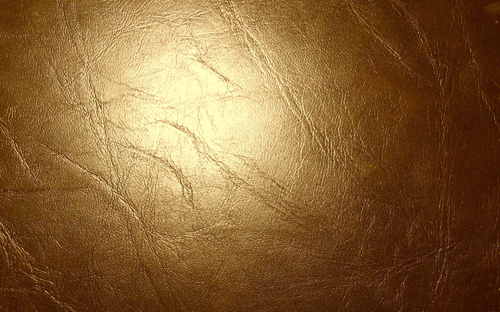 Download Wallpaper 1680x1050 Leather, Gold, Glitter, Cracks