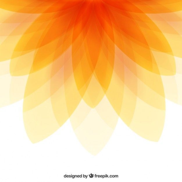 Orange Vectors, Photos and PSD files | Free Download