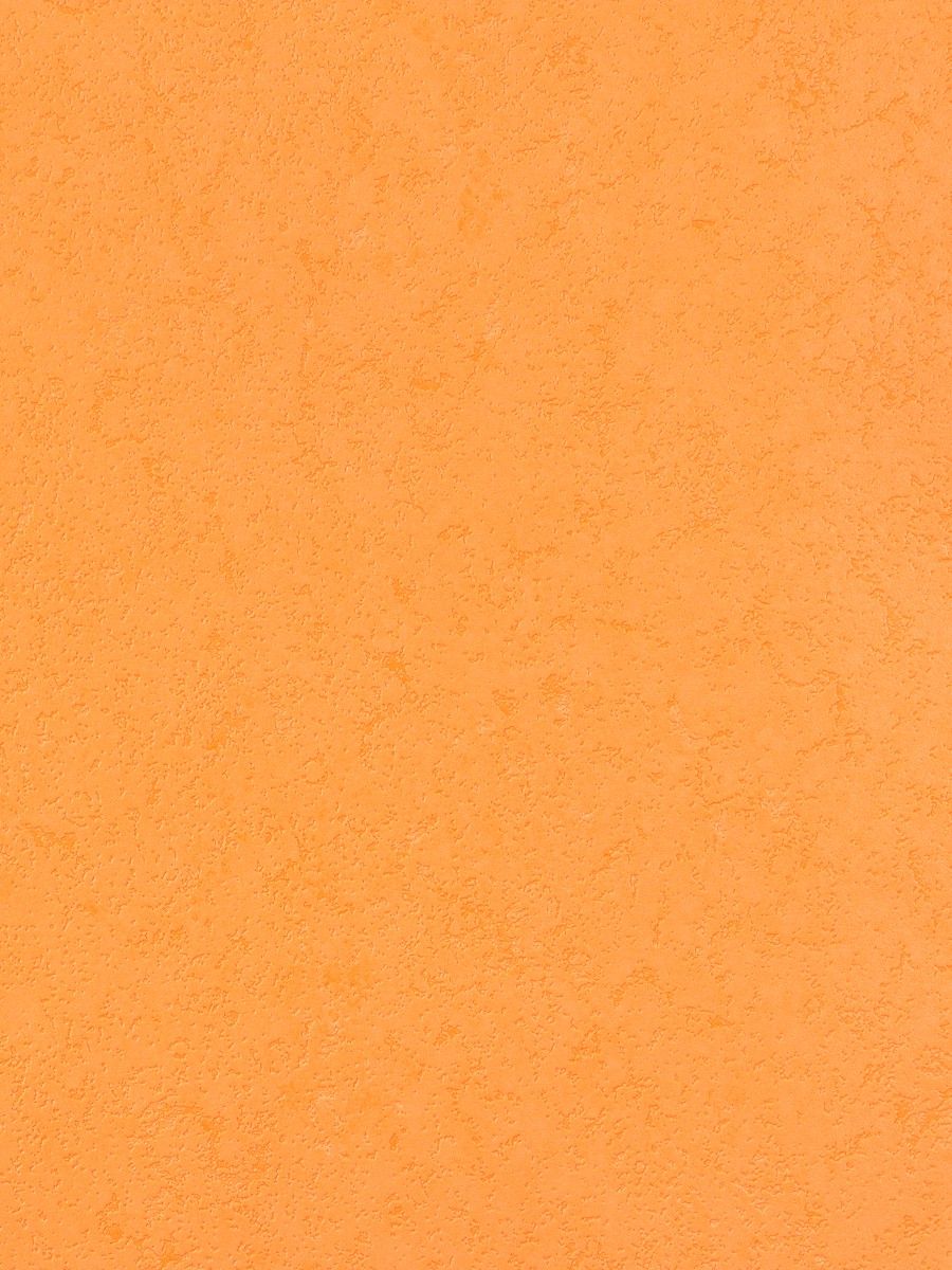 Spiced Orange  f7ba84   plain background image