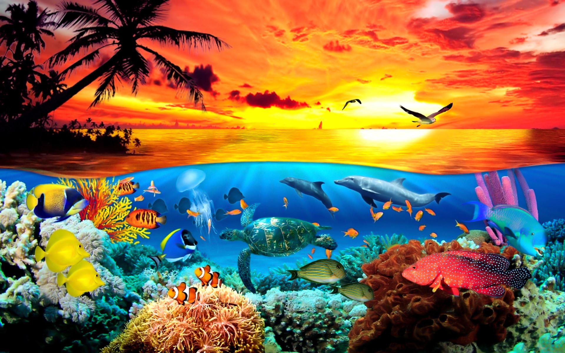 Under The Sea Animals World Wallpaper - DreamLoveBackgrounds
