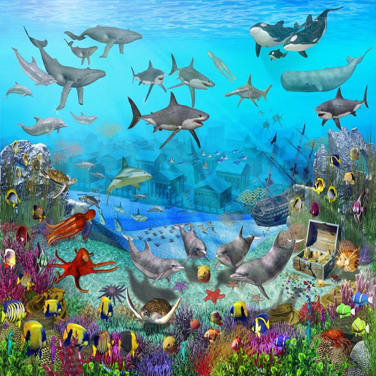 Under the sea wall murals Colorful Childrens Wallpaper Murals