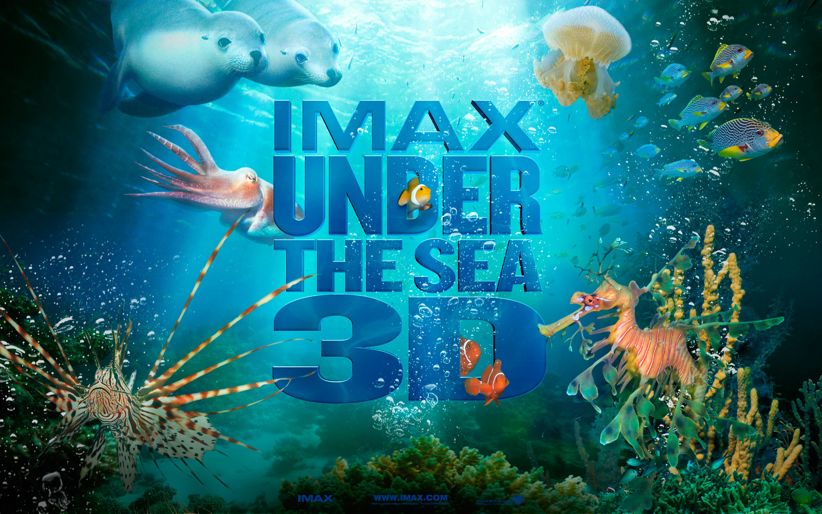 Forum 42 under the sea wallpapers notoverthehill Chainimage
