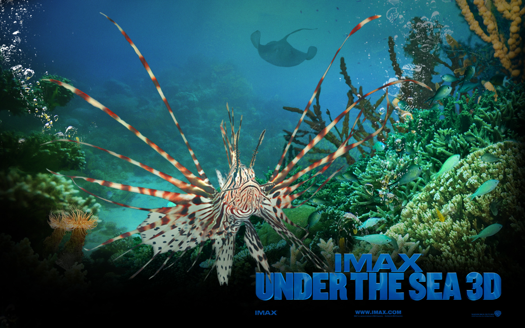 Alayx WAllpaper Under The Sea