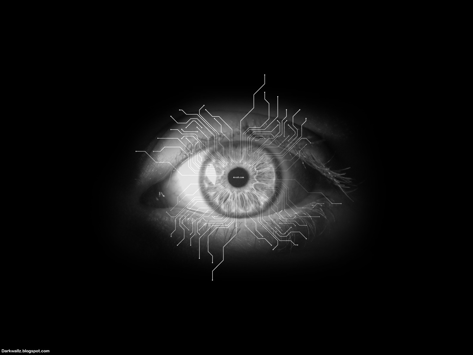 Scary Black Eyes Design Backgrounds | Scary Wallpaper Backgrounds