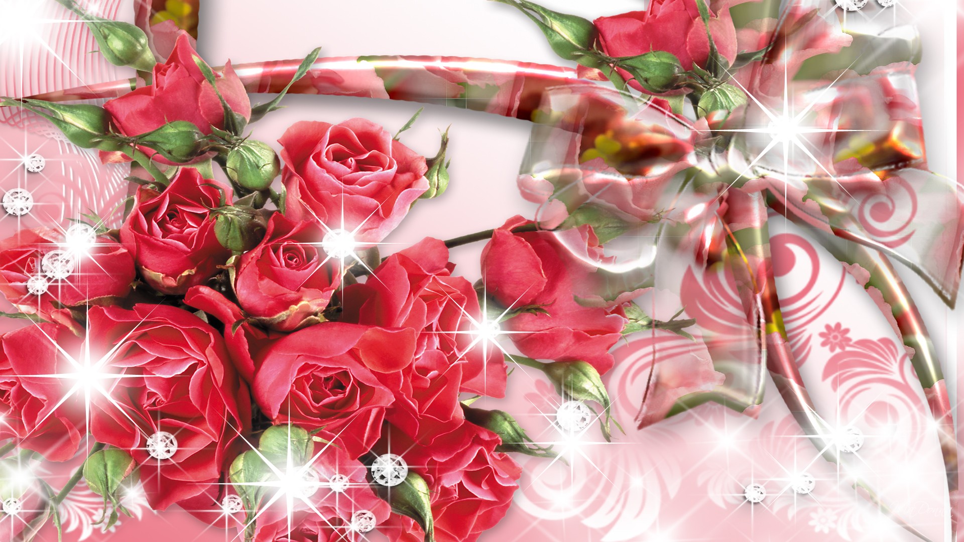 Roses Wallpapers Collection 42