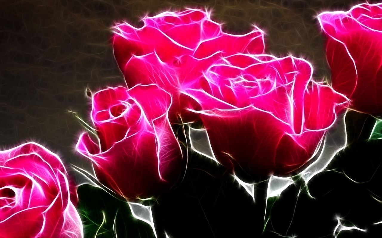 Hot Pink Roses - Roses Wallpaper (11661786) - Fanpop