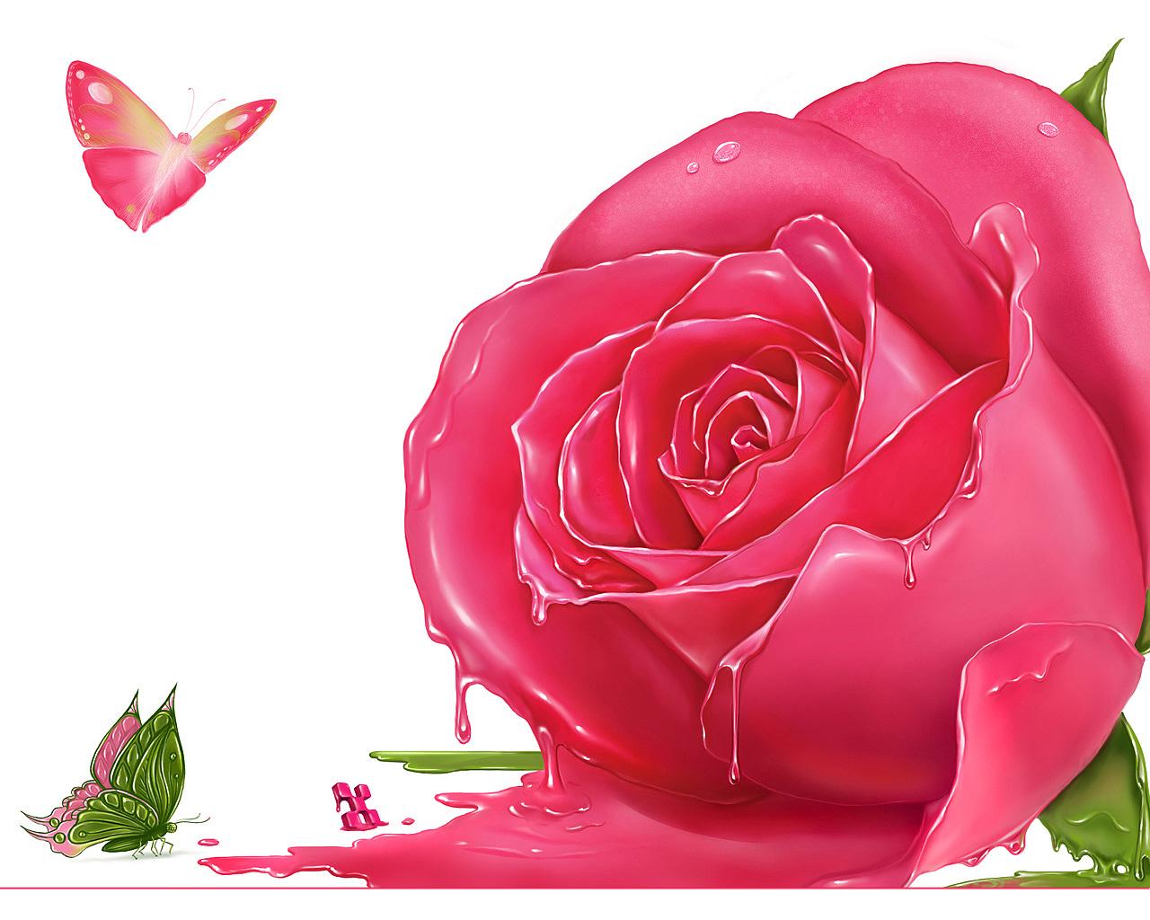 Pink rose meaning pink roses pink rose wallpaper light pink
