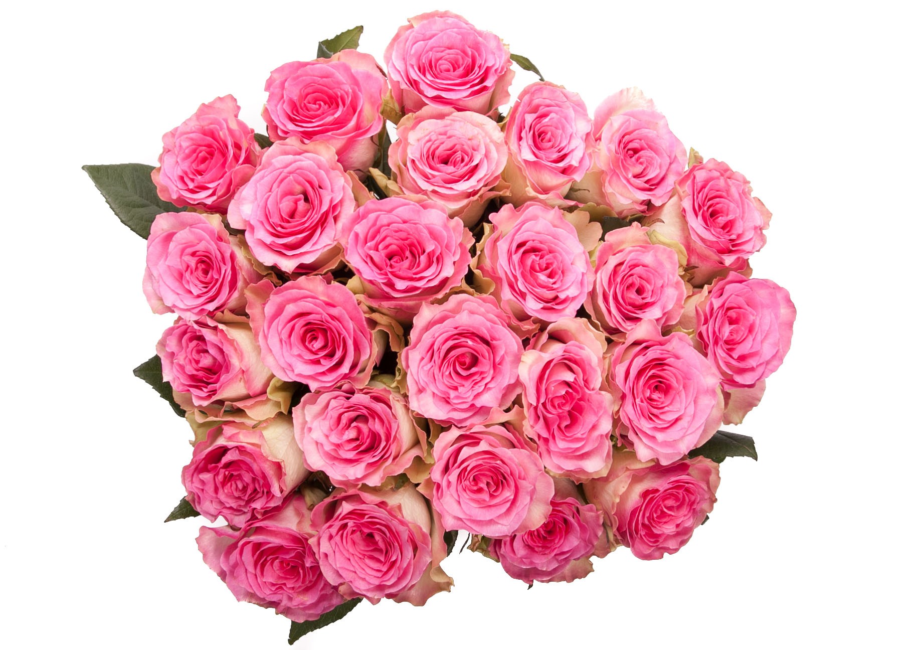 Cool-Dark-Pink-Roses-Bouquet-Hd-Wallpaper – Wallpapers