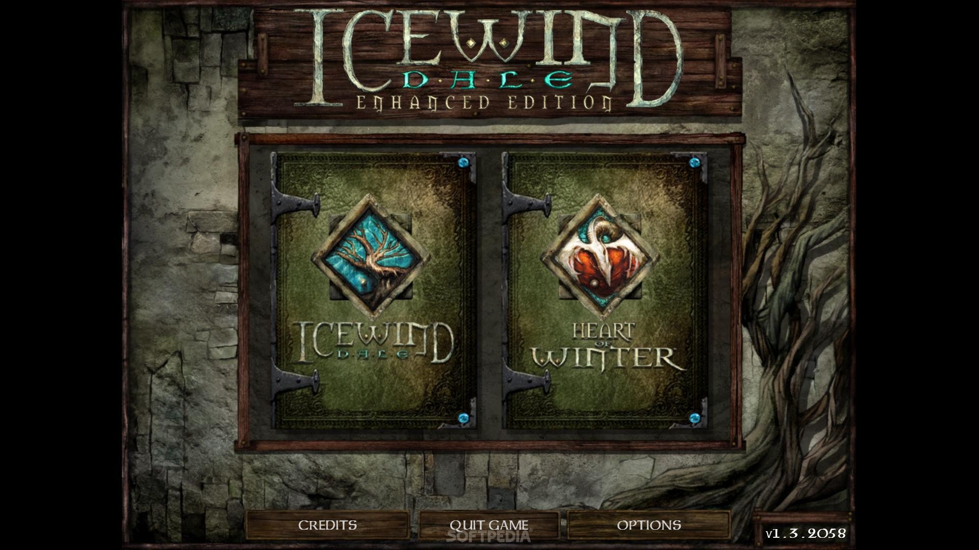 Icewind Dale Enhanced Edition Review PC