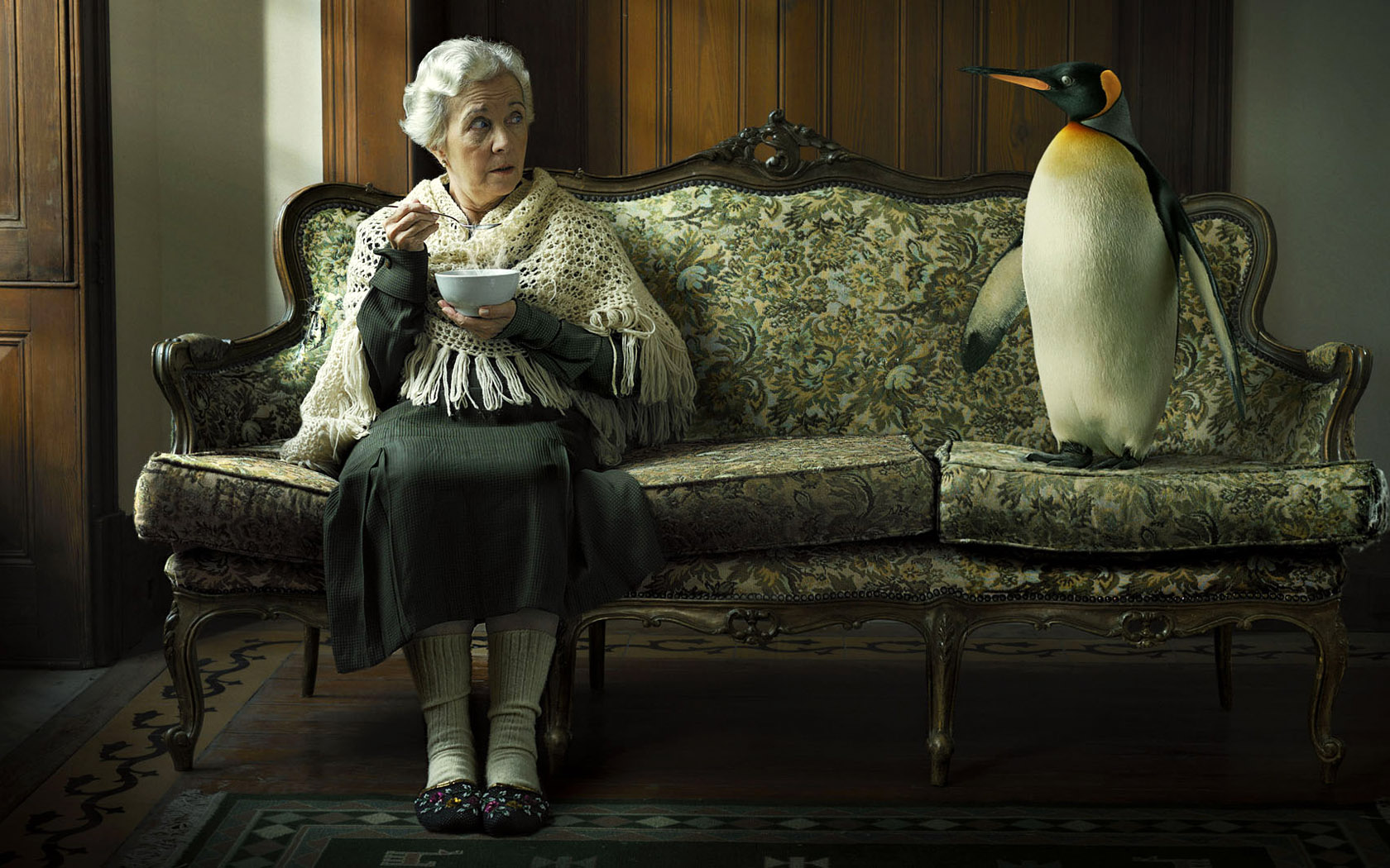 The old woman and penguin wallpapers and images - wallpapers