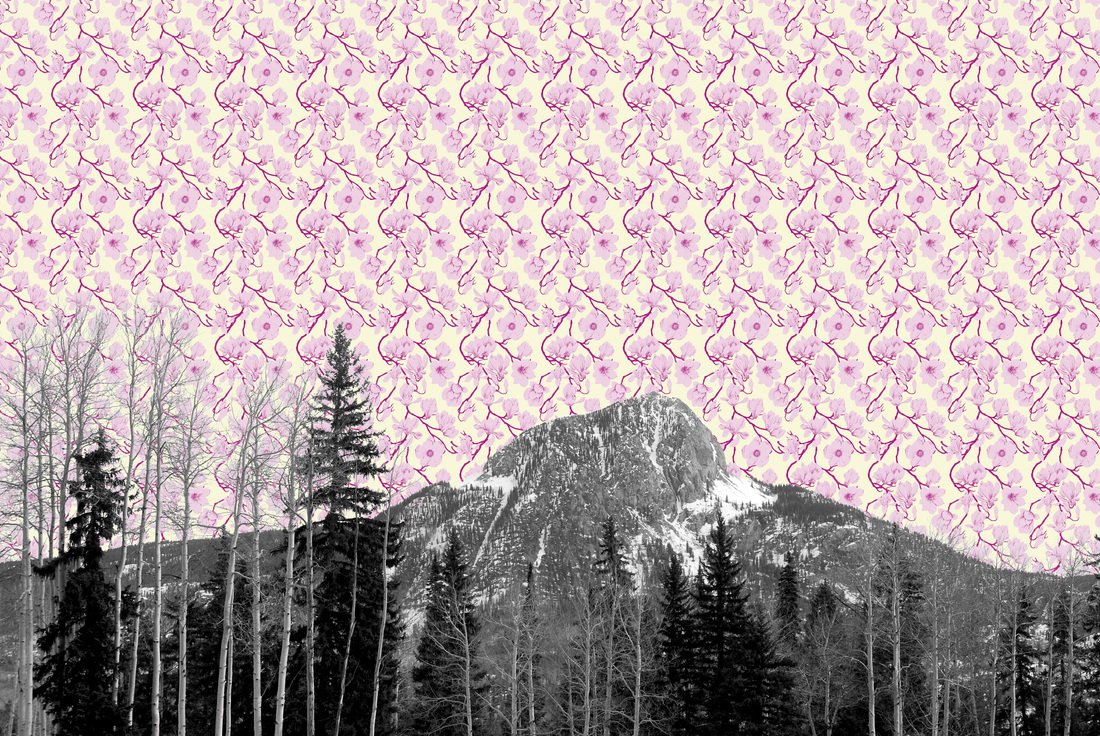 Spud mountain and old lady wallpaper EXAMPLE - DHS photography