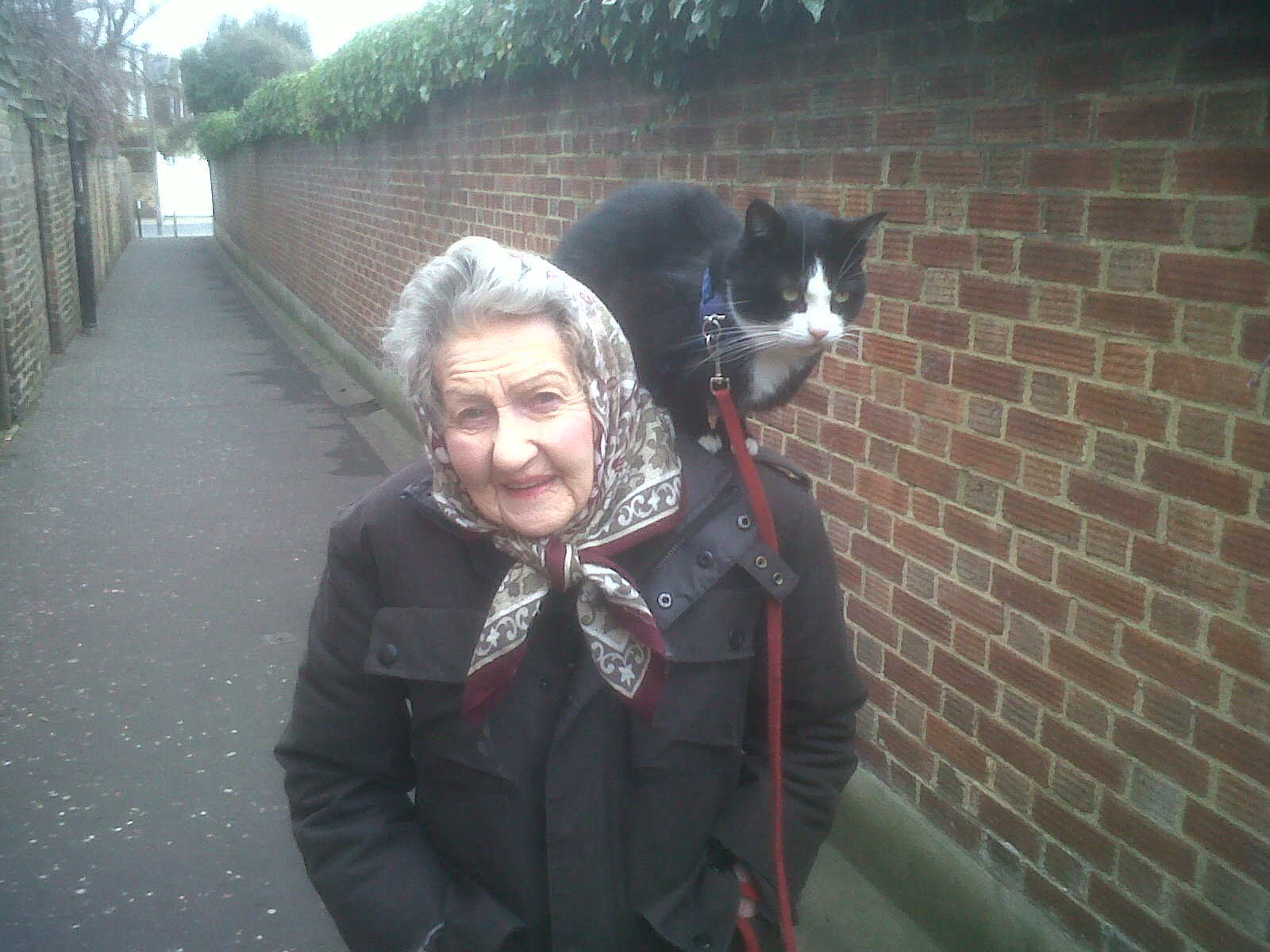 This old lady takes her cat for walks like this every day! : pics