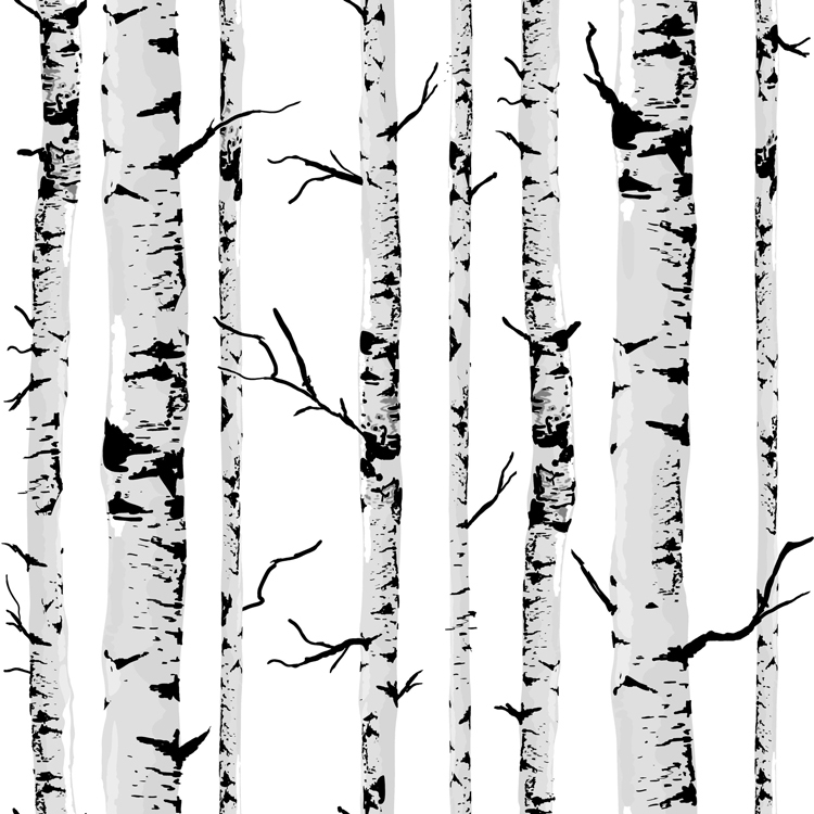 Popular Birch Tree Wallpaper-Buy Cheap Birch Tree Wallpaper lots ...