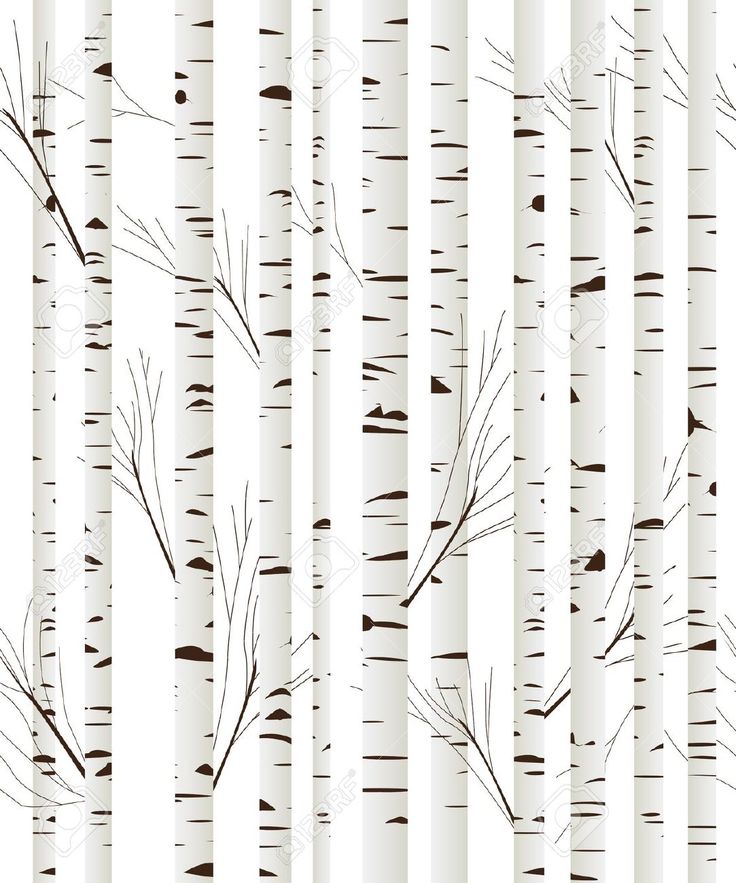 Black and white birch tree wallpaper kuchy, pokoj - nov byt