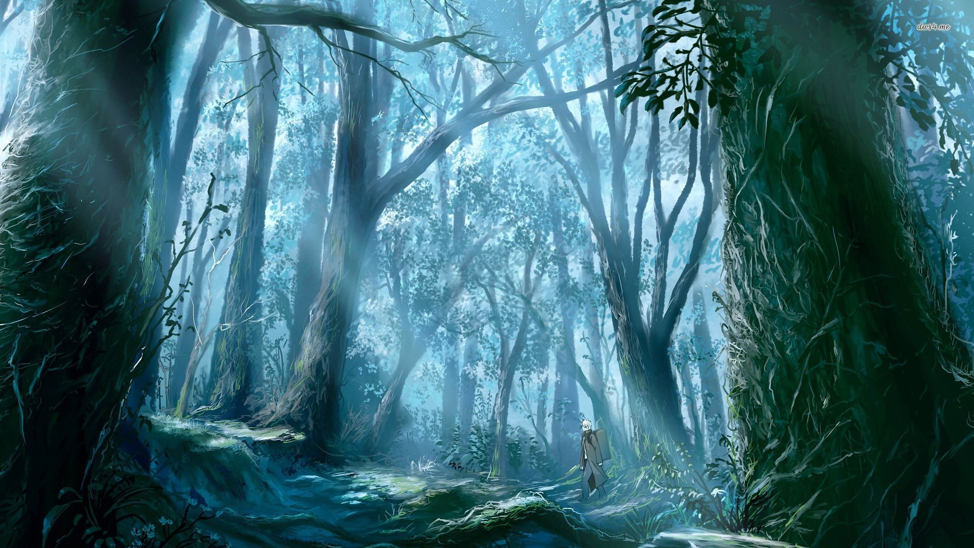 Walk through the woods wallpaper - Fantasy wallpapers -
