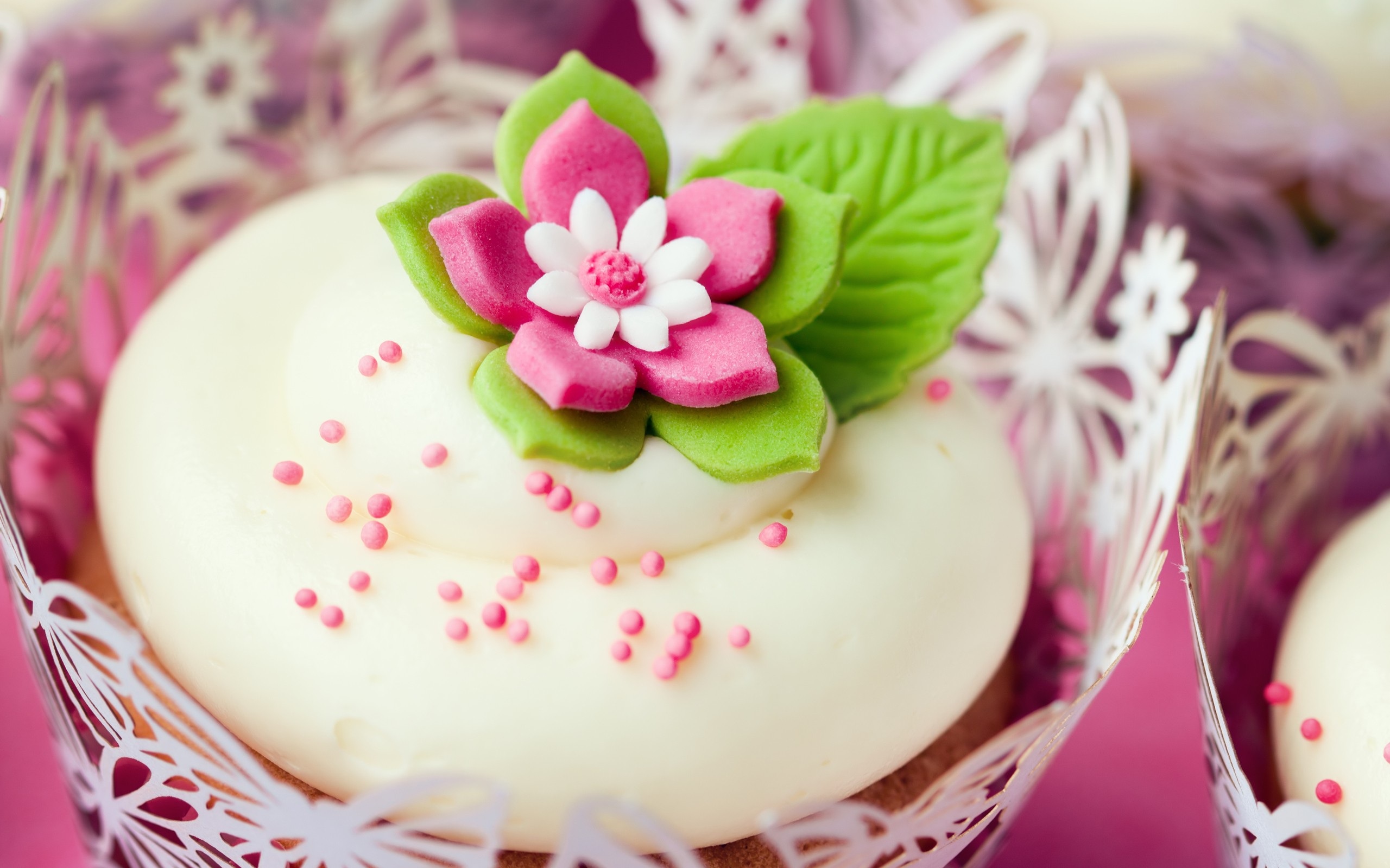 Download Cupcakes Wallpaper 654 2560x1600 px High Resolution ...