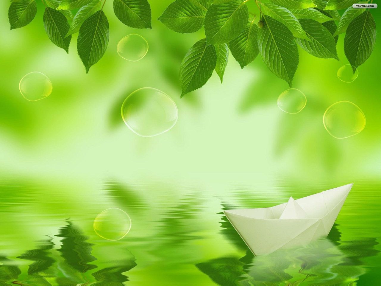All Kinds Beautifull Wallpapers Green Nature Lovely Backgrounds