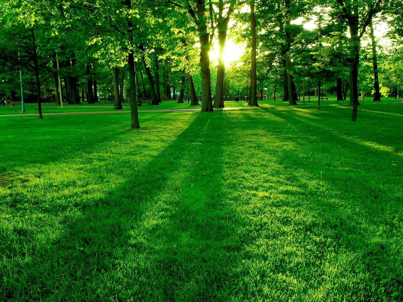 Greener Biomass Energy