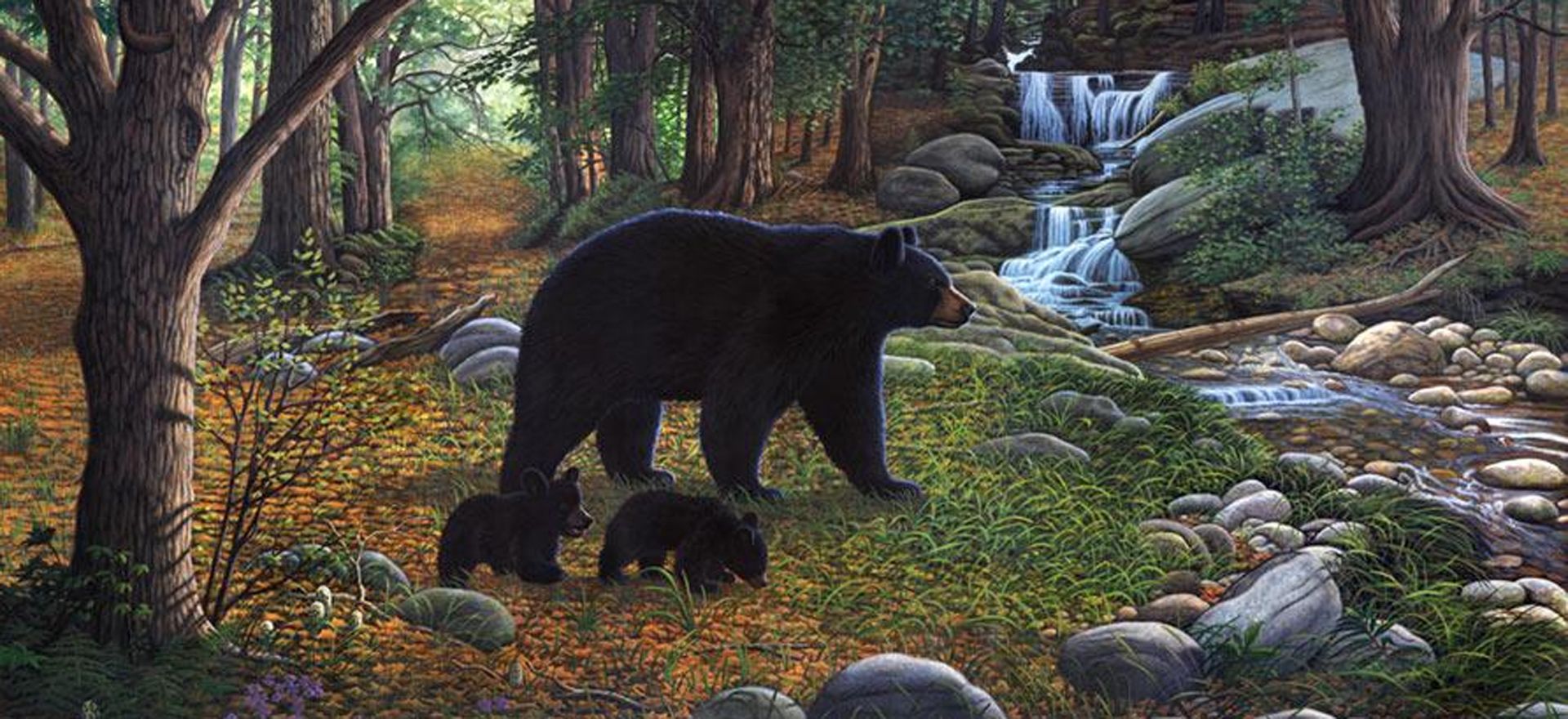 Black Bear Painting Wallpapers