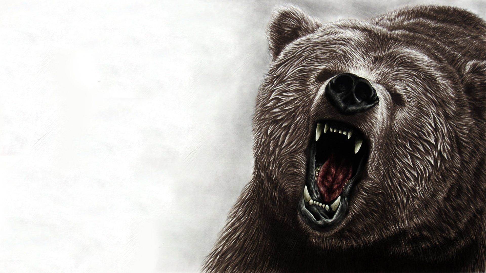 Angry bear Wallpaper #22883