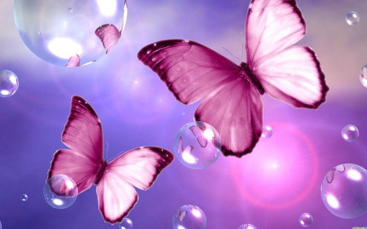 Download Beautiful Pink Butterfly Flower Wallpaper 1229x768 | Full ...