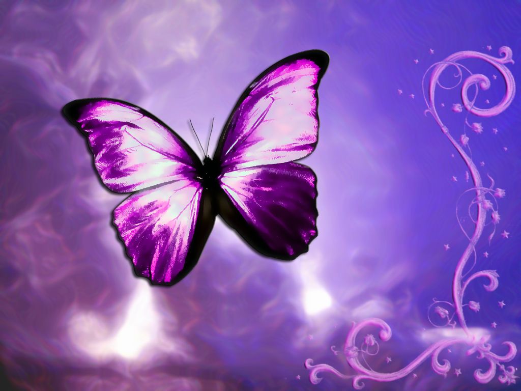 952 Butterfly HD Wallpapers | Backgrounds - Wallpaper Abyss