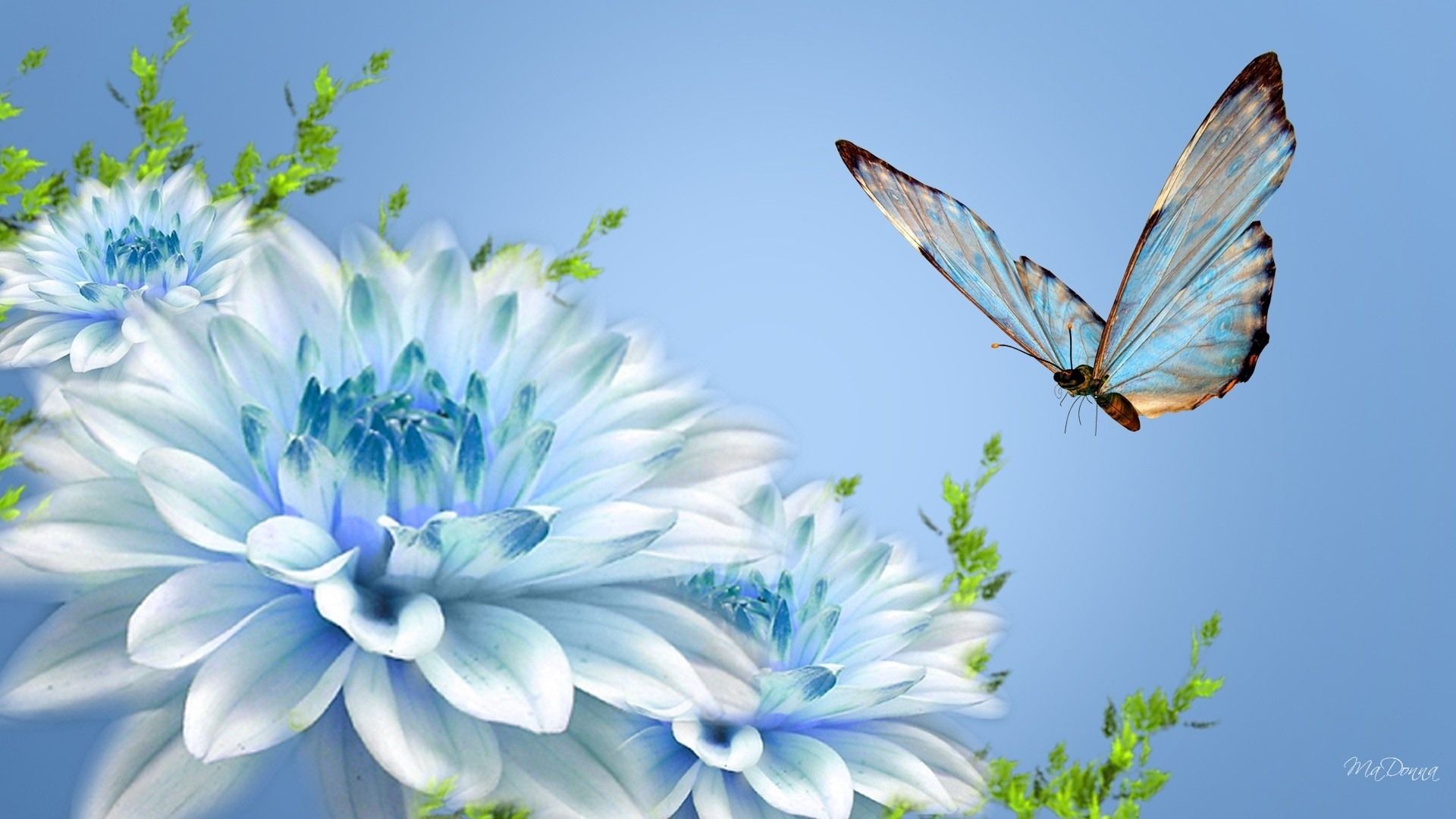Pretty Butterfly Wallpapers - Wallpaper Cave