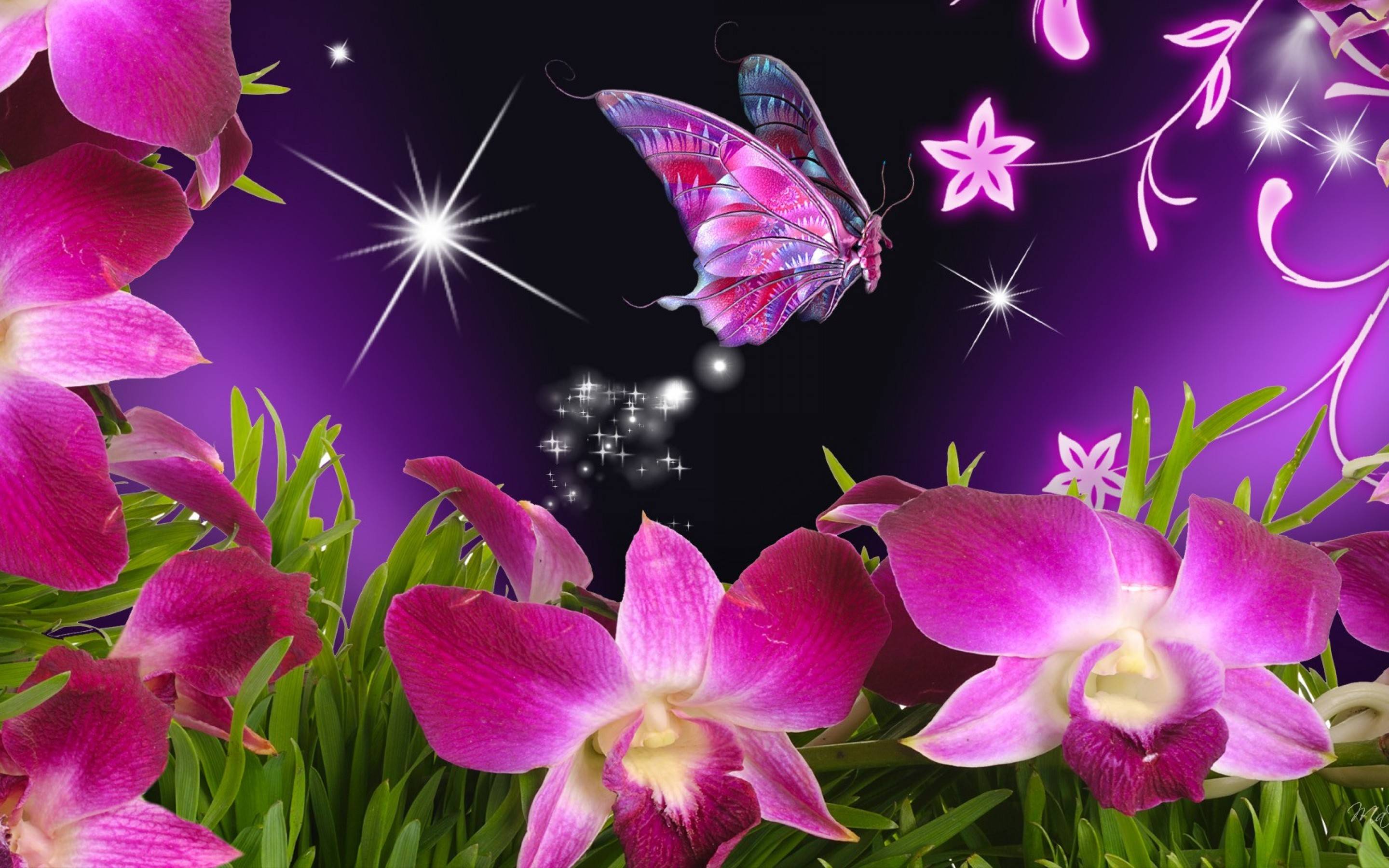 Pretty Butterfly Backgrounds - Wallpaper Cave
