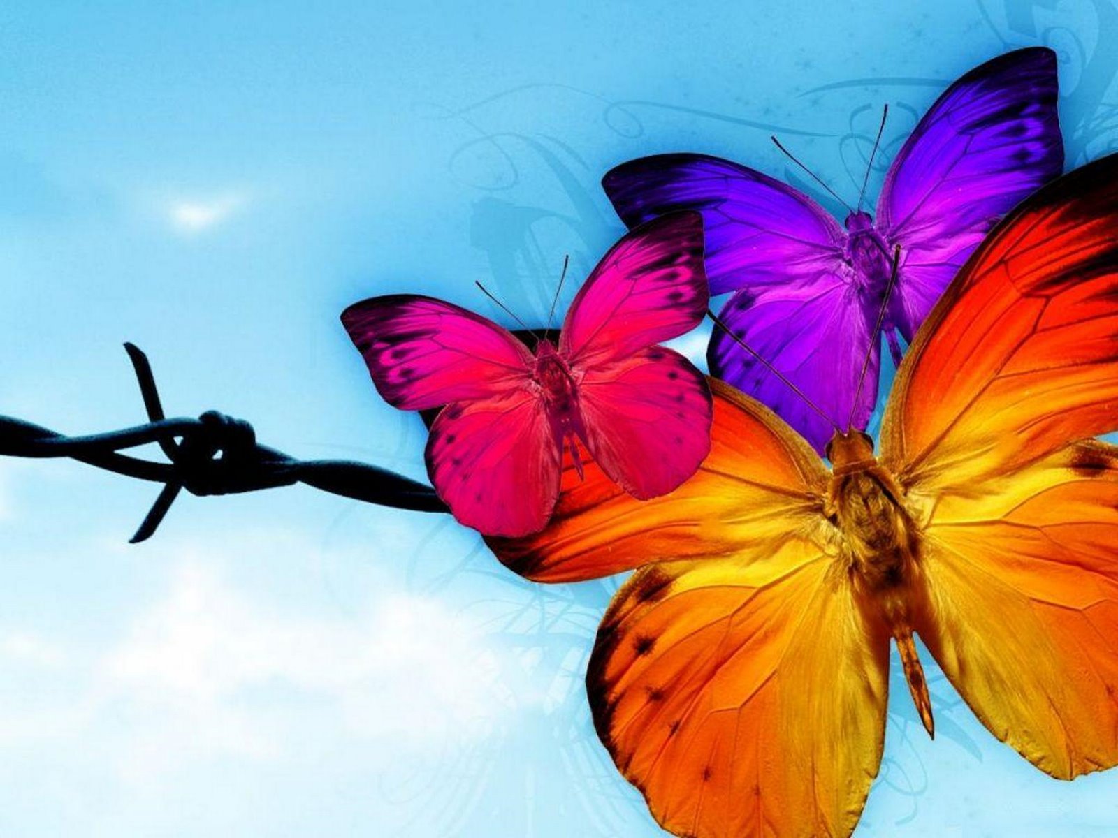 Animated Butterflies - HD Wallpapers Pretty
