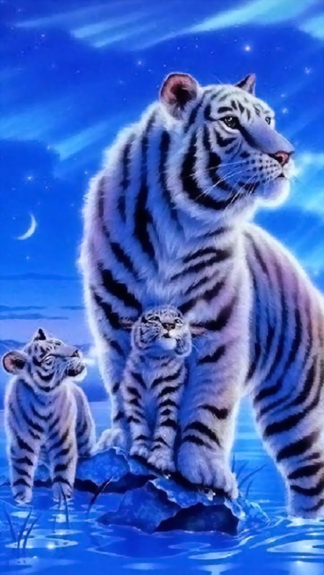 Animal wallpaper on Pinterest | Baby Tigers, Baby Foxes and Tiger Cubs