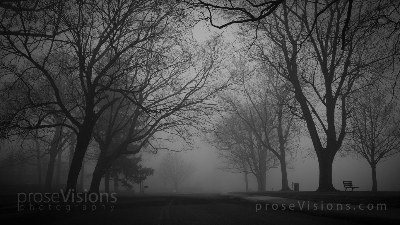 Free Wallpaper of The Grand Fog Image | Exploring HDR Photography ...
