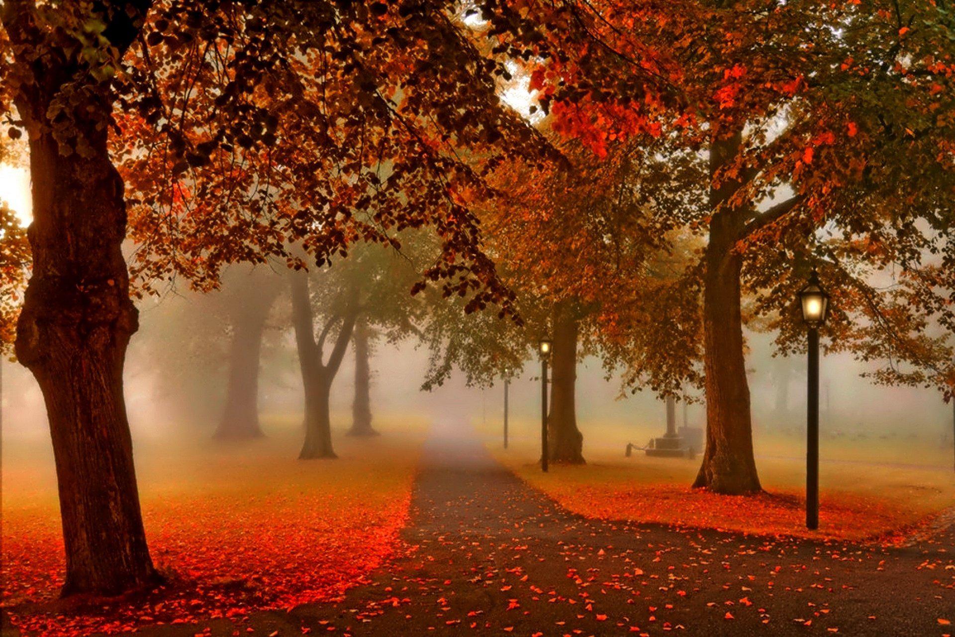 Sunset Nature Park Autumn Lantern Free Background >> HD Wallpaper ...