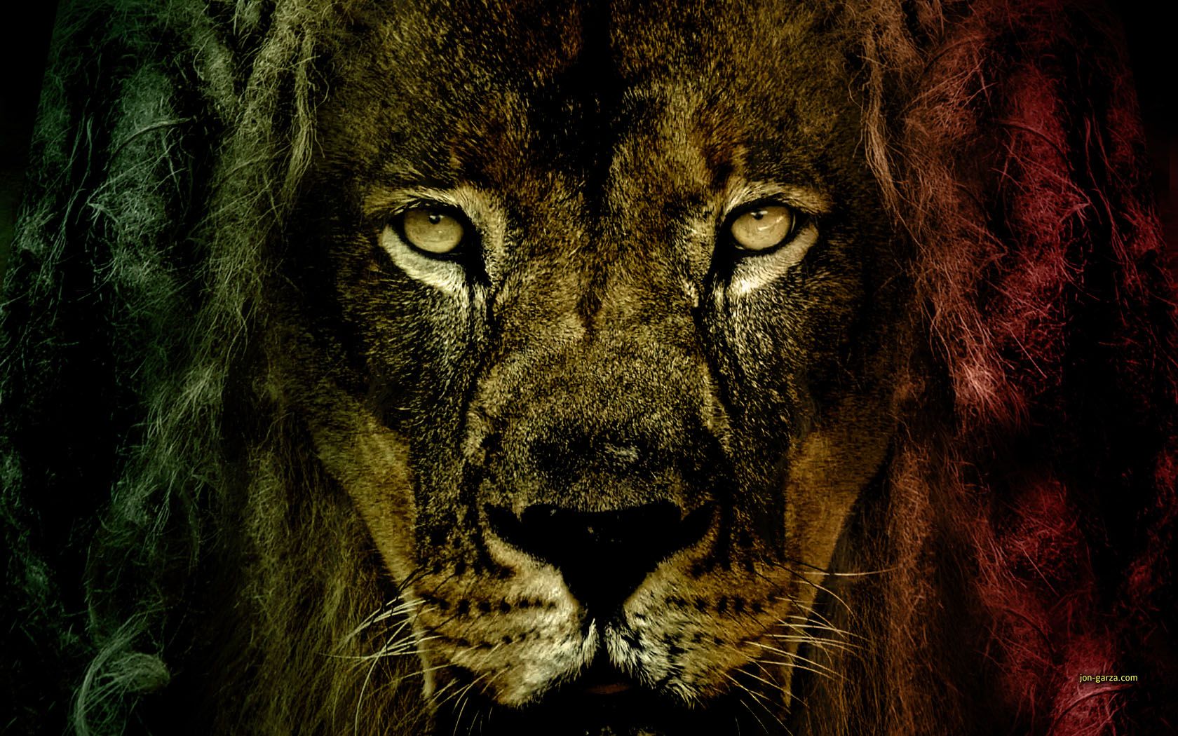 Bob Marley Lion Wallpaper < Images & galleries