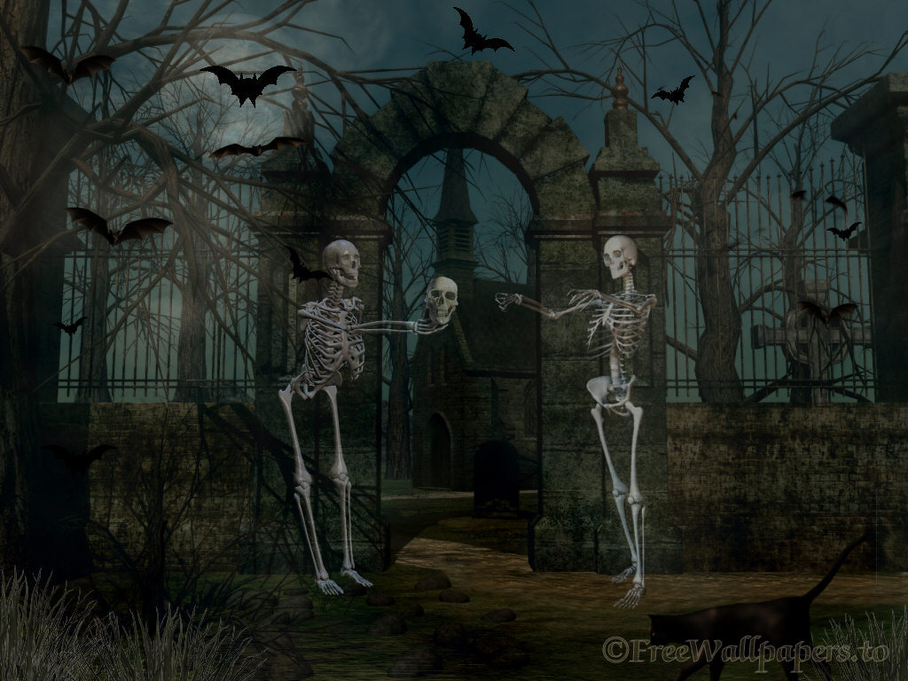 Halloween skeleton wallpaper | danasrhg.top