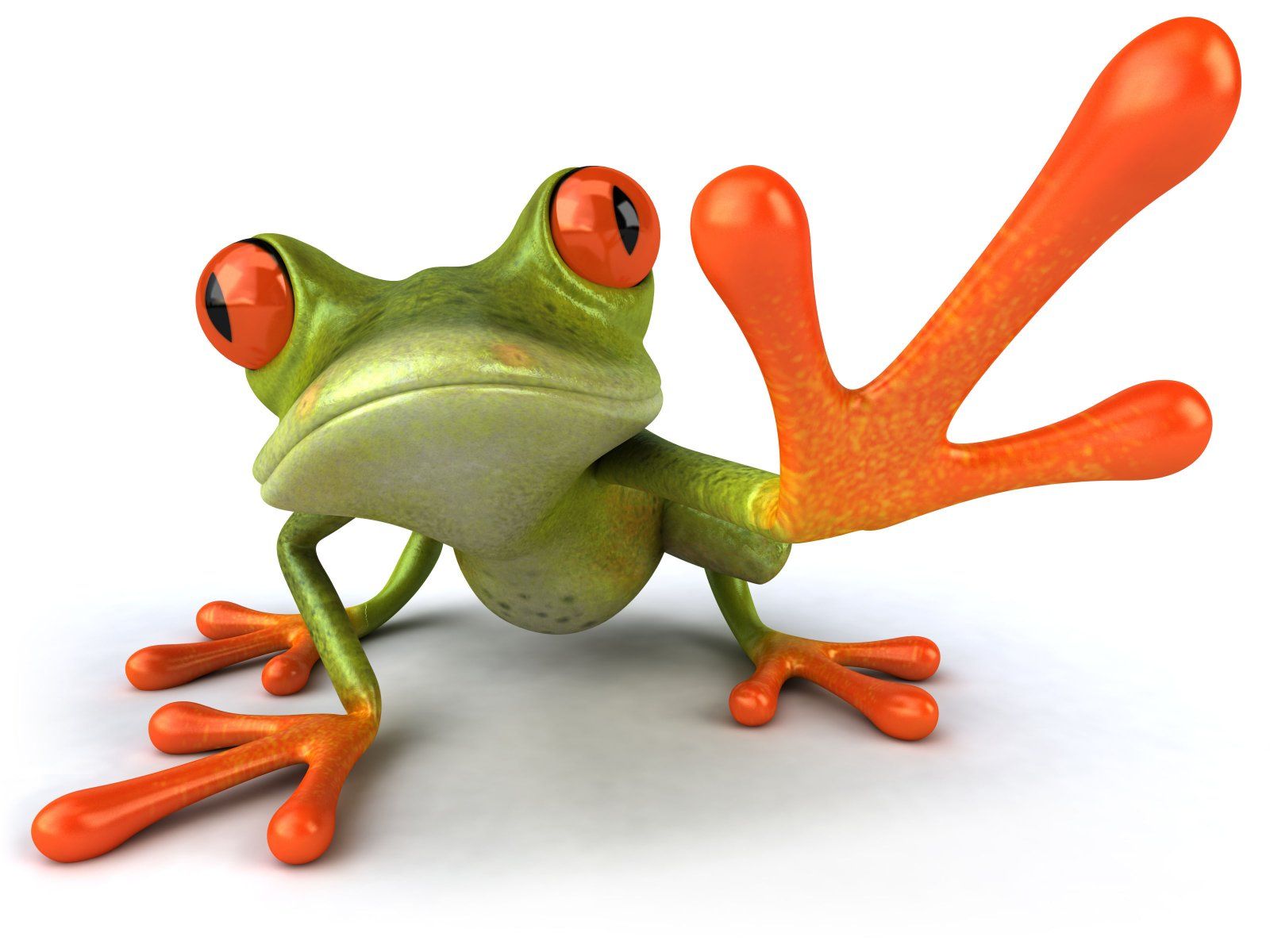 Crazy green frog wallpaper - Animals wallpapers - Free wallpapers ...