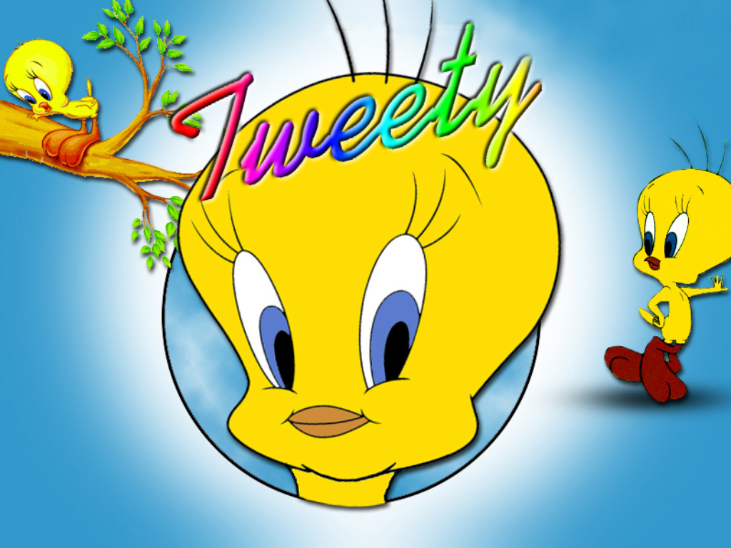 Tweety Bird Wallpaper - Tweety Bird Wallpaper 5513734 - Fanpop
