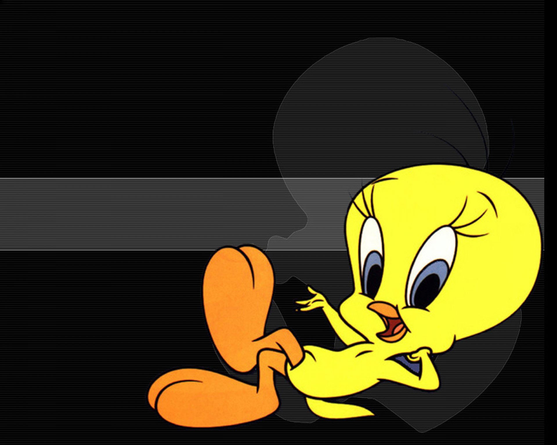 Tweety Bird Wallpapers Cure Free Download Daily Backgrounds in HD