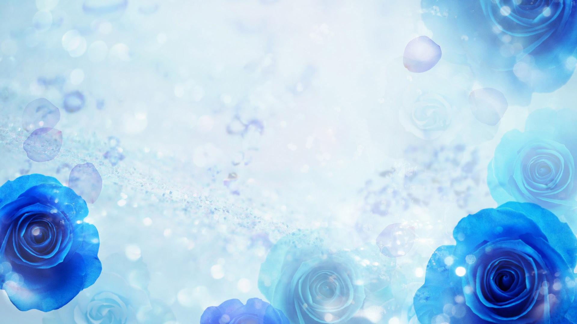 Blue roses on a blue background wallpapers and images - wallpapers