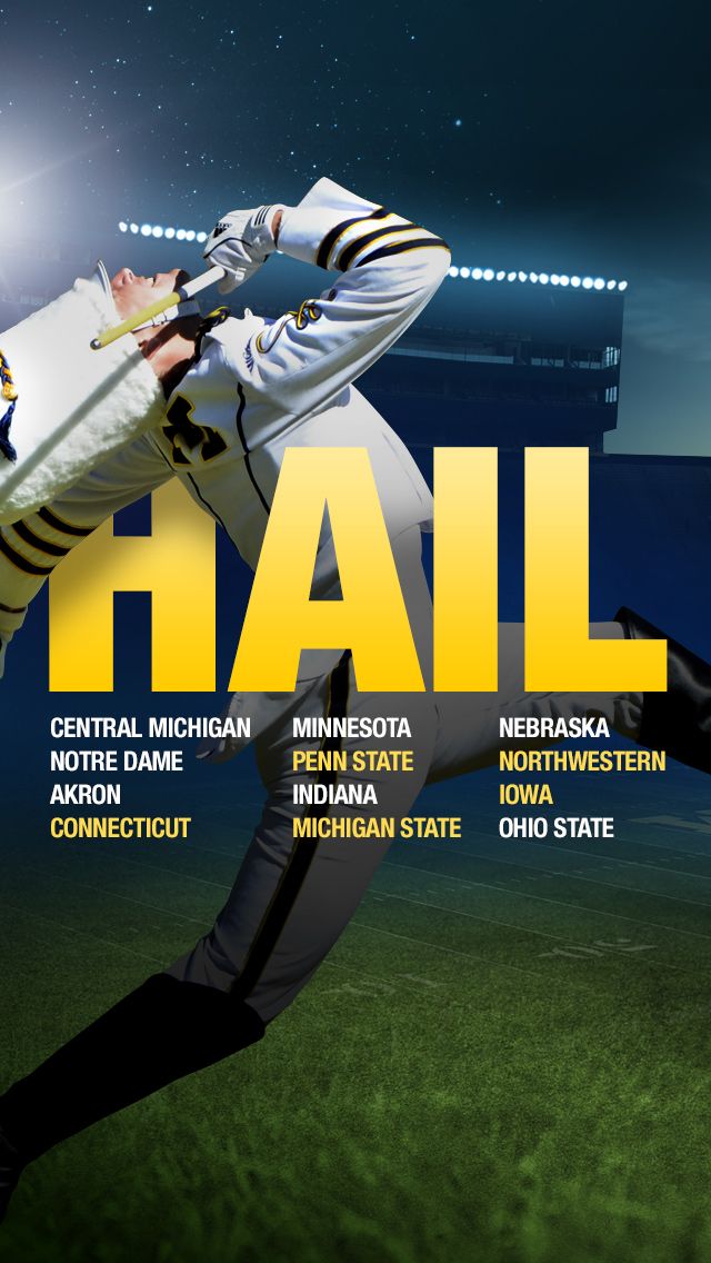 HAIL, Part 2 – 2013 Season – Michigan Football Fan Art