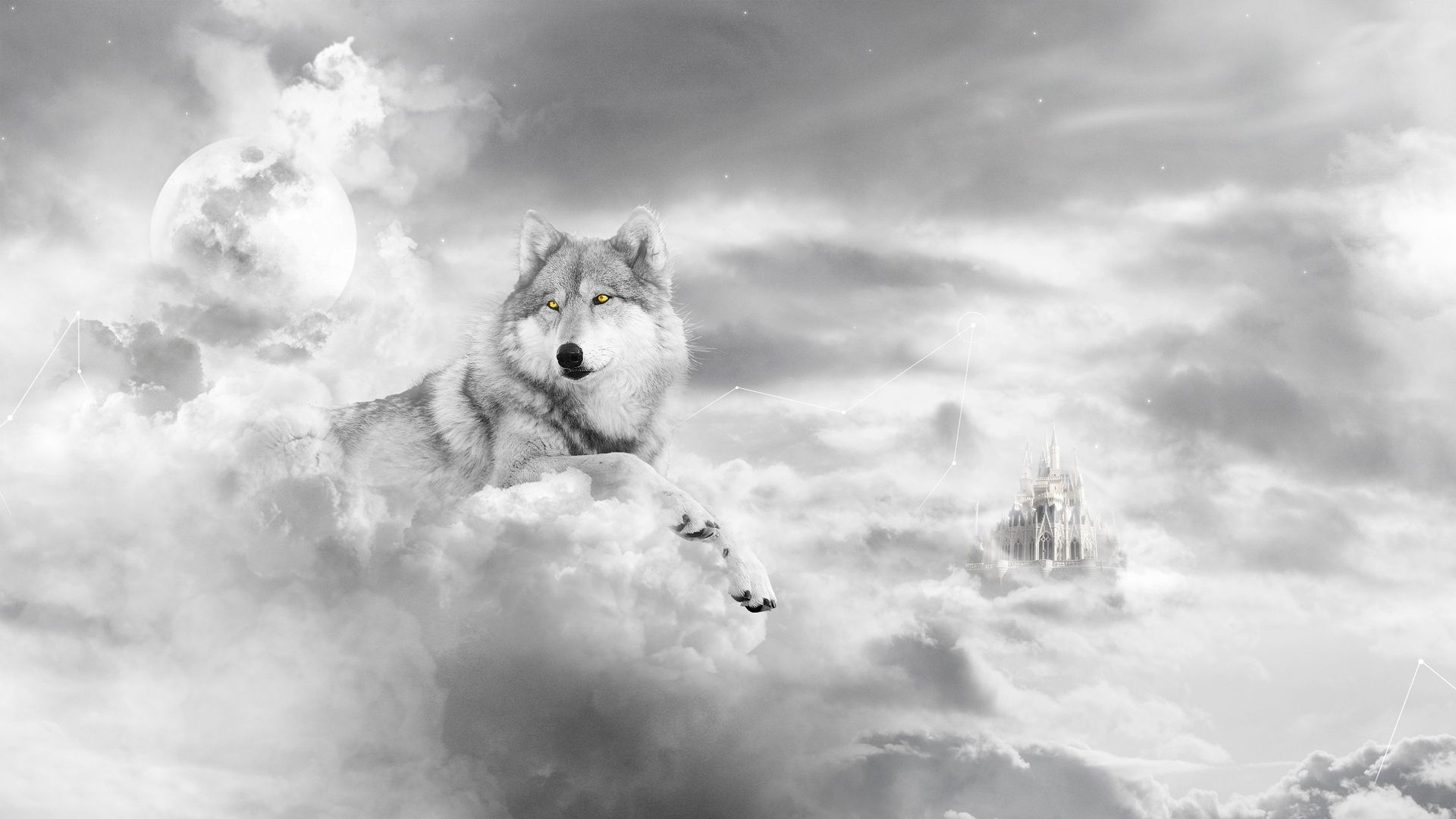 804 Wolf HD Wallpapers Backgrounds - Wallpaper Abyss -