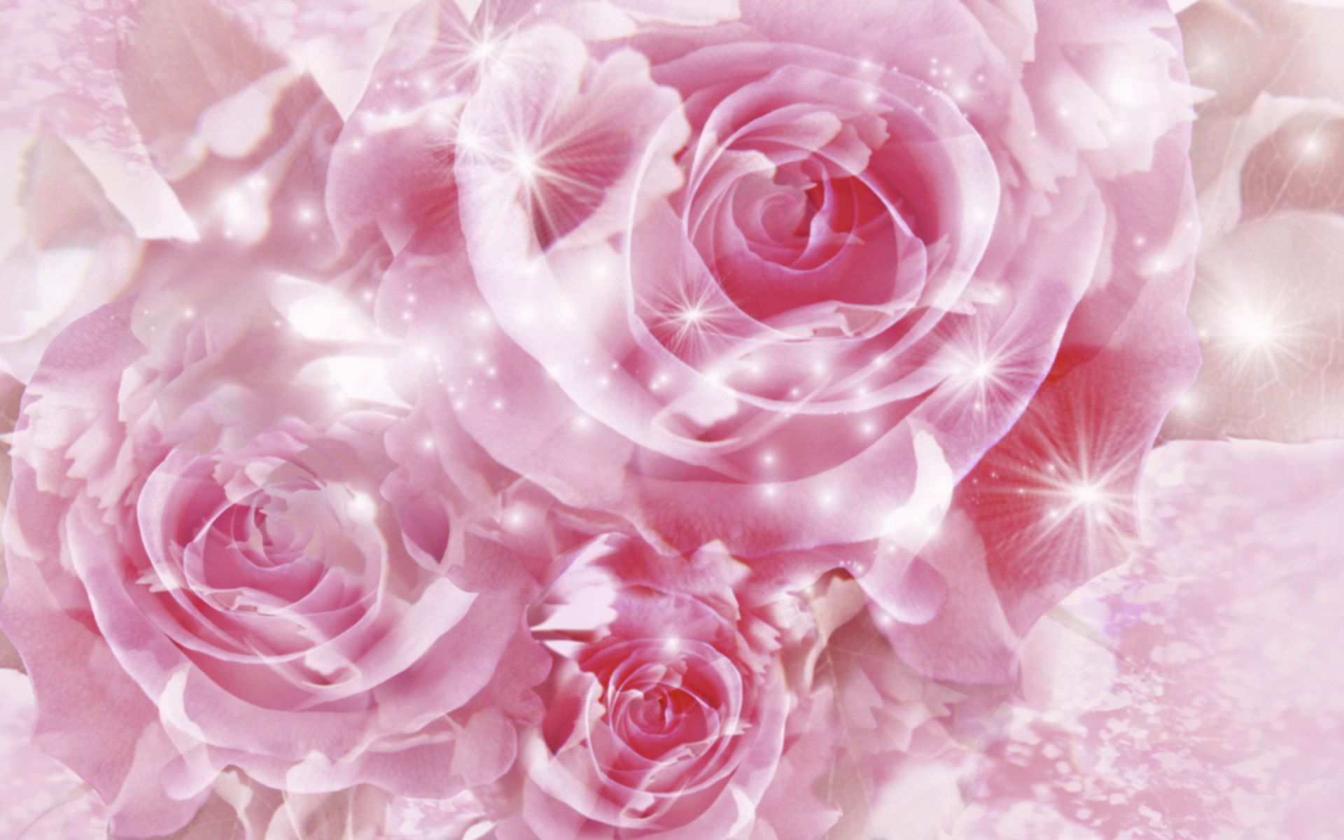 Pretty Pink Roses - Roses Wallpaper (34610924) - Fanpop