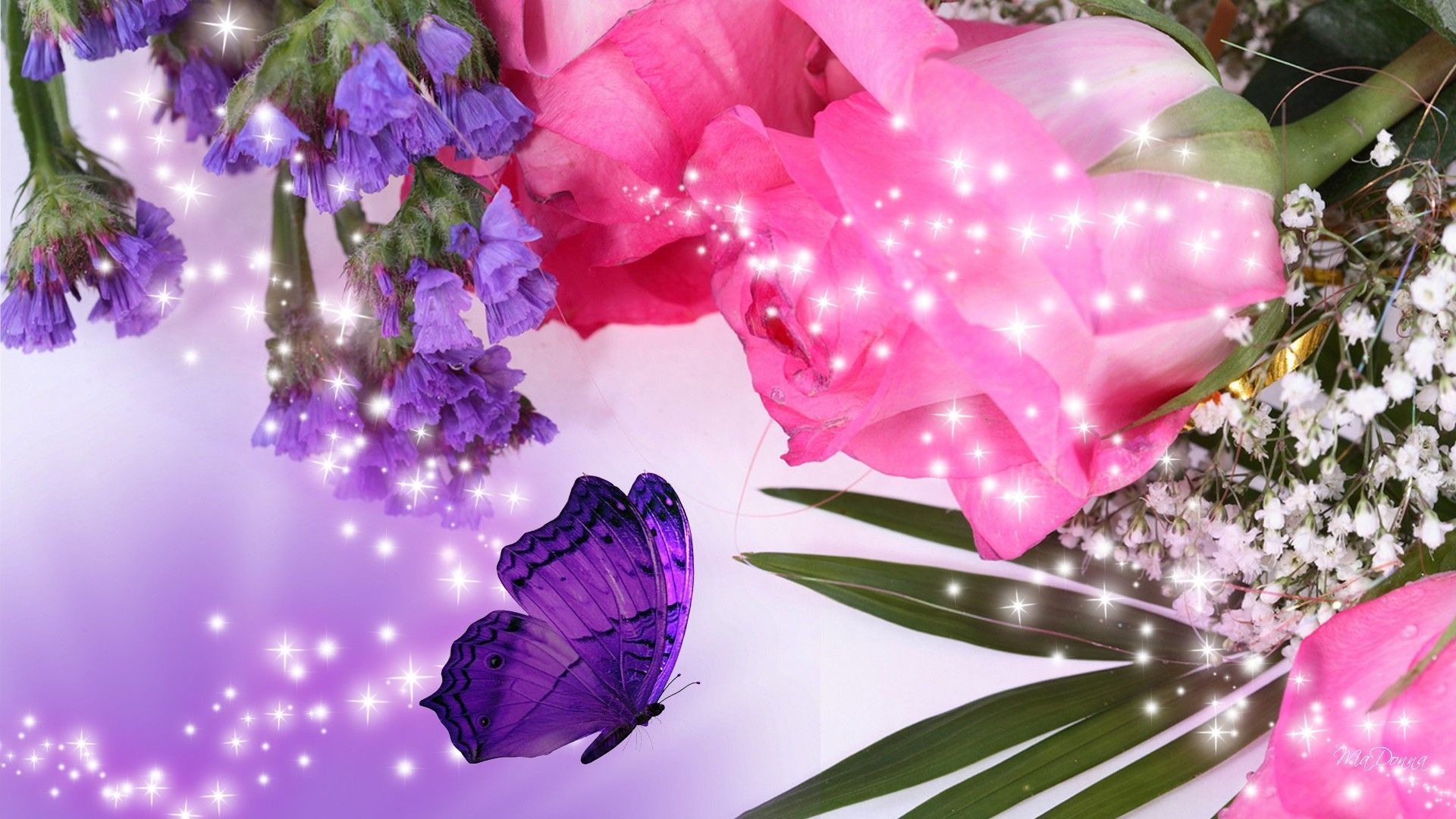 Purple Flowers Desktop Wallpaper, Purple Flower Images, New Backgrounds